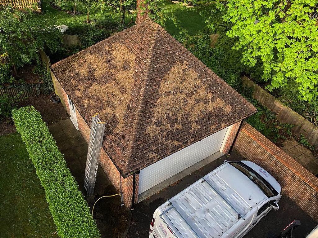 Roof tiles before cleaning